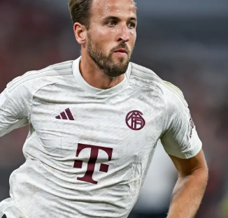 或许可以让 或许可以让